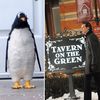 Spotted: Penguins, Jim Carrey in Park Slope